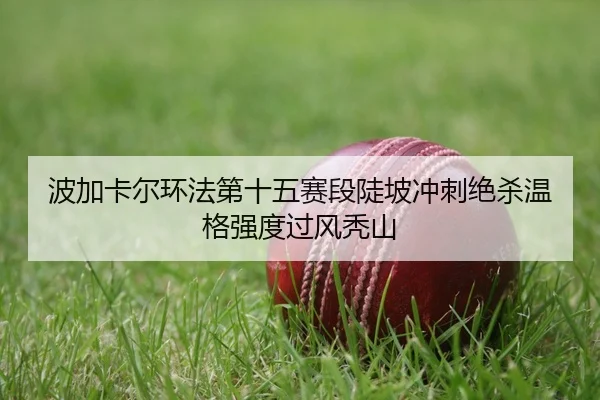 波加卡尔环法第十五赛段陡坡冲刺绝杀温格强度过风秃山